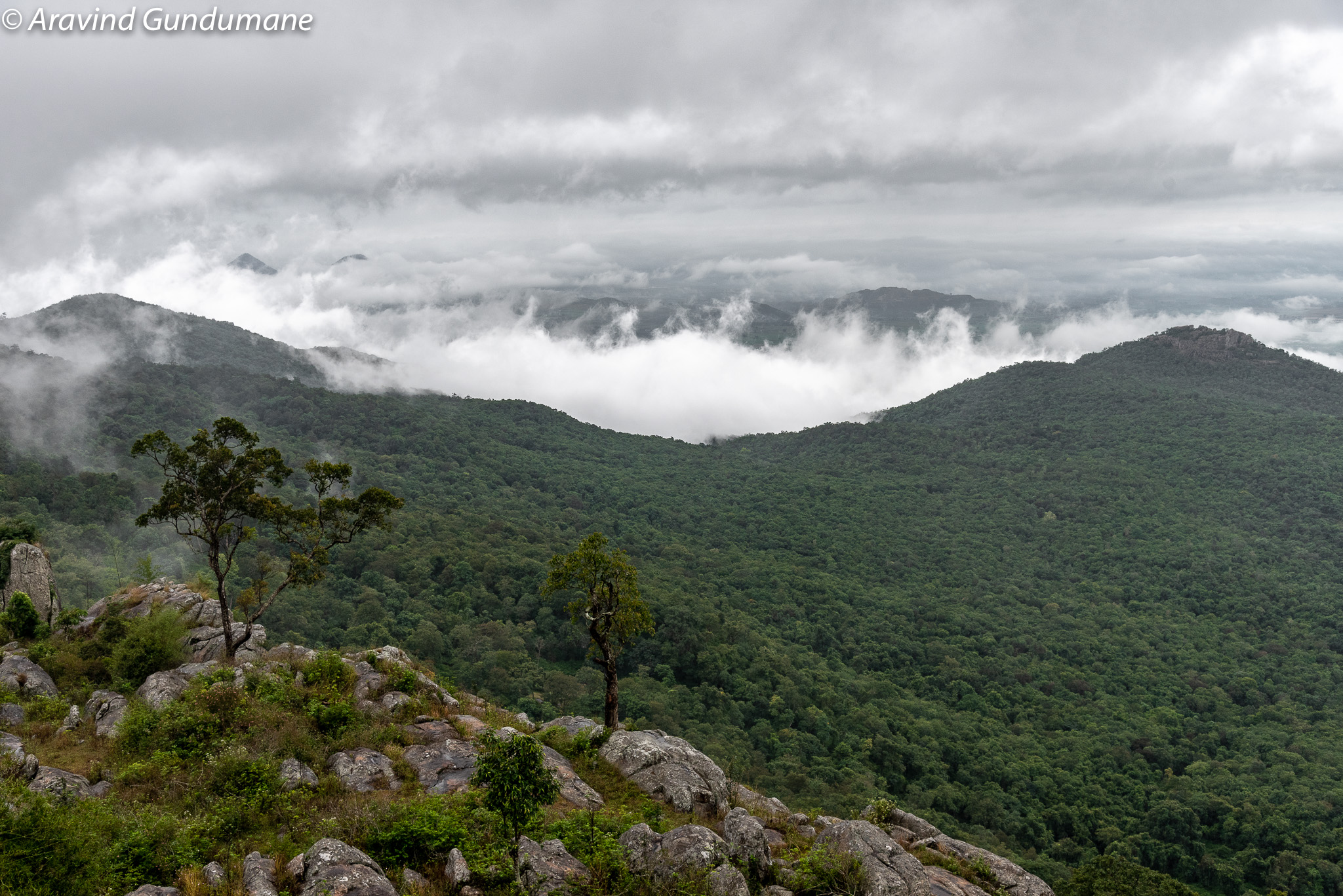 A Weekend Trip To BR Hills (Biligirirangana Betta) - Treks And Travels