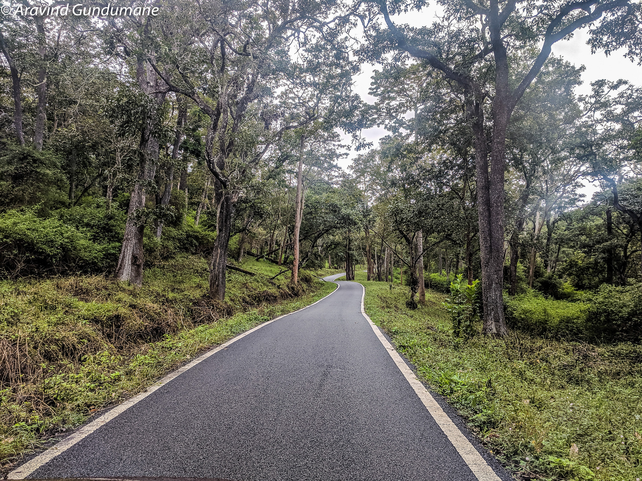 A Weekend Trip To BR Hills (Biligirirangana Betta) - Treks And Travels